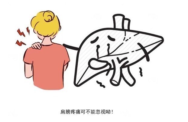 先知|体内有癌,肩膀先知?肩膀出现1种状况,暗示癌症正在进展?