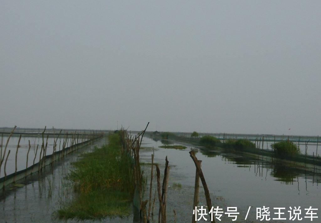 好钓位，全靠地形，认清这几种地形，打窝之后全是鱼