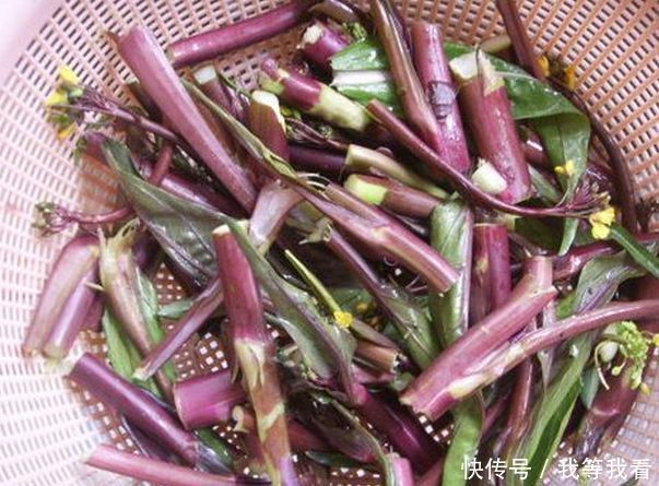 好食物吃出好身体,推荐三种食物,补充营养,延缓衰老,增强体质