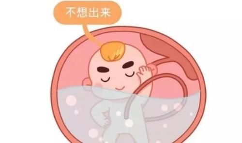 胎宝宝|胎儿每天在妈妈肚子里忙什么？除了吃和睡，他们有好多事情要忙！