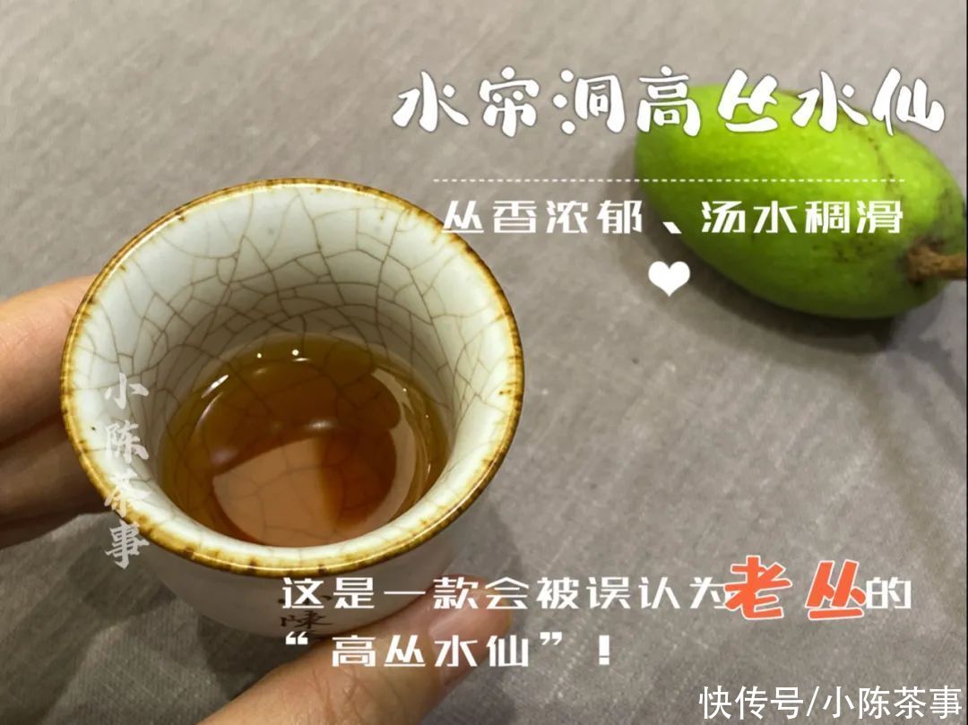 凤凰茶|凤凰单丛、凤凰水仙、岩茶水仙，从历史角度解读水仙茶叶的迁徙史