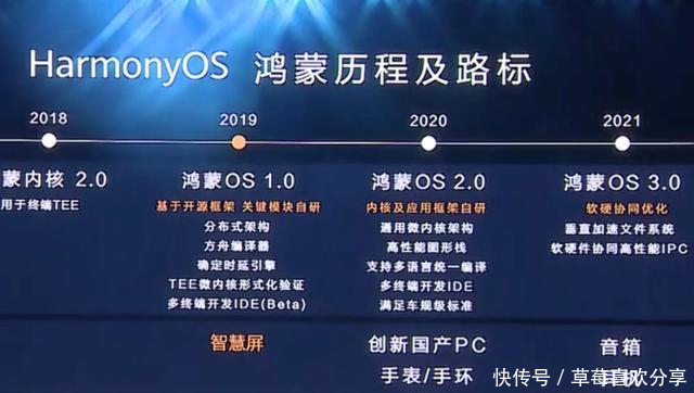 |搞笑外国人:走哪吃哪大挑战!什么地方都能藏东西?