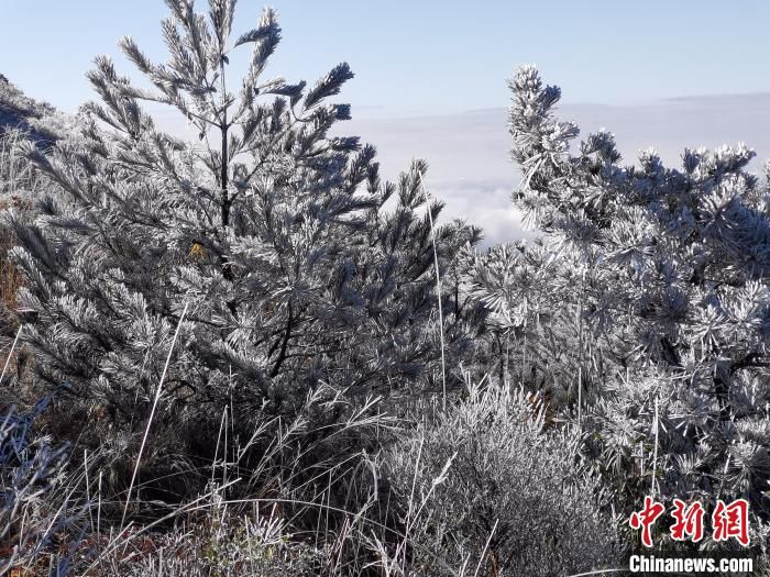 何家进|福建宁德世界地质公园迎来今年首场雾凇