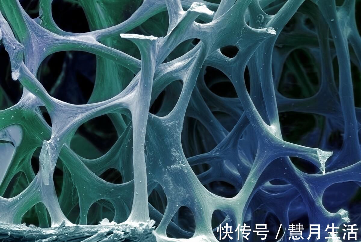 骨骼|103岁老人，骨骼仅65岁，长寿秘诀不是多走路，而是这3件事