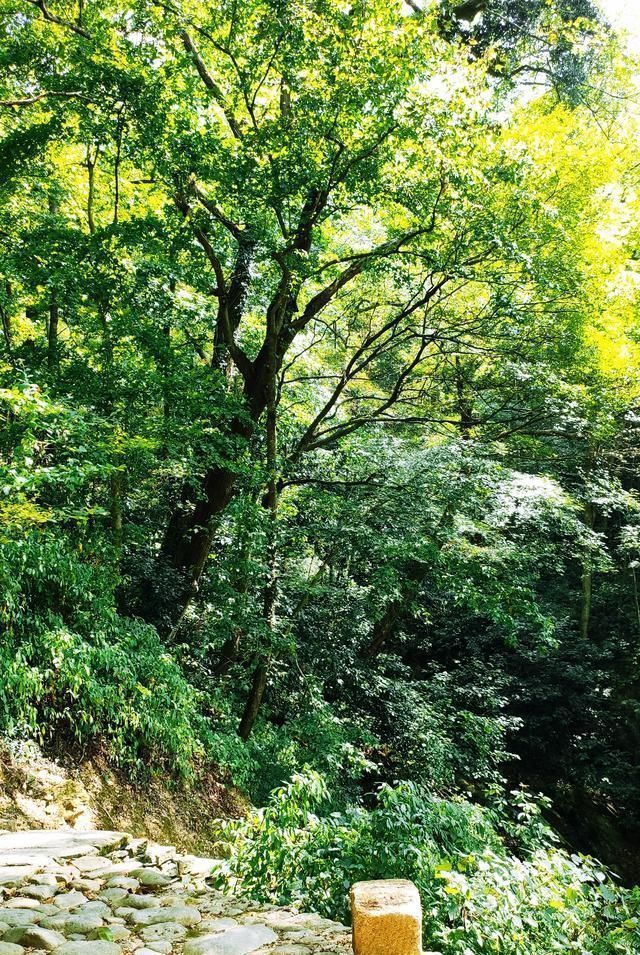 隐藏在皖南深山中的阳产村，宁静古朴，土楼建筑群形成独特的画卷