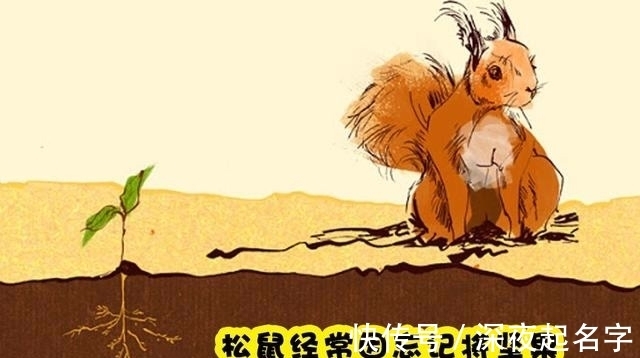 英文|即便知识渊博的人也未必知道的7个冷知识