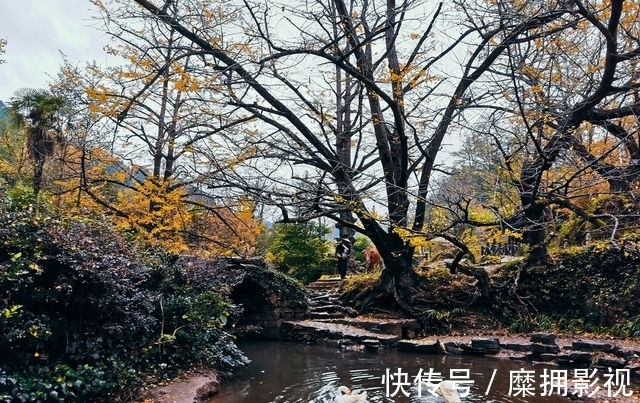 风景|这座夏天19℃的“蜜雪冰城”有多好吃？美食比成都更上头，风景比川西更惊艳！