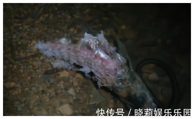 万峰湖：有人将钓起来的翘嘴鱼放在水里，转眼被吃得只剩个鱼头