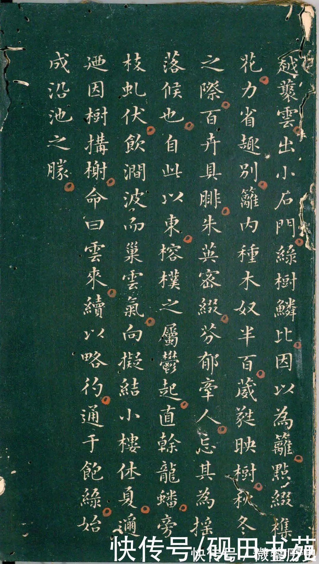 彭汝楠$「书画欣赏」 只看董其昌的《岸圃大观》四个字,就忍不住看完