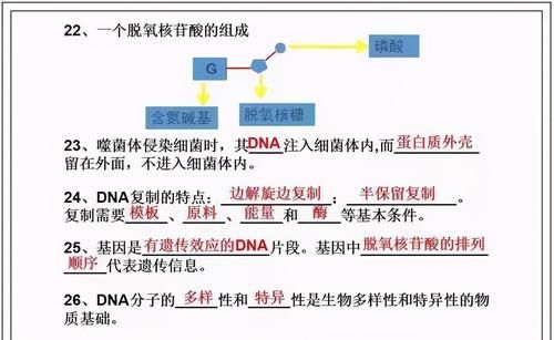 张图|高中生物：25张图梳理一轮复习必背知识点！