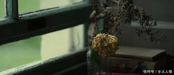 忧伤|石黑一雄《莫失莫忘》:短暂一生的三角感情戏,夹杂淡淡的忧伤