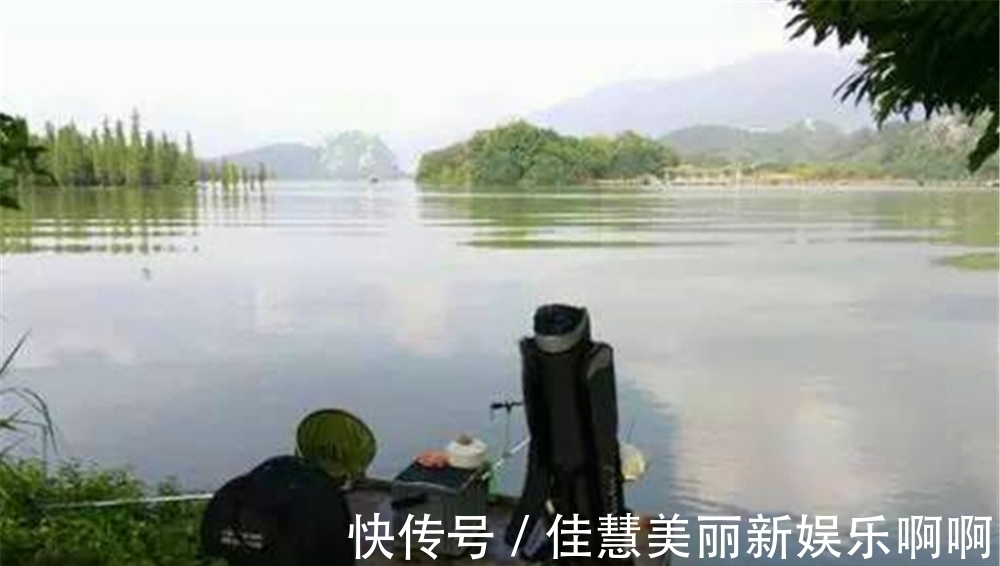 水温|盛夏钓位深浅选择“绝招”：鱼“吃饭”时钓浅，鱼“休息”时钓深