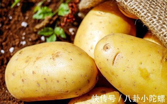 激素|打了激素的土豆怎么区分？内行人教你3招，回回买到优质土豆！