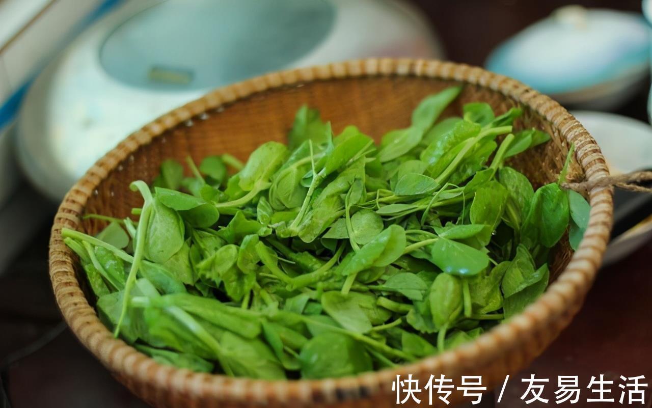 滋肝明目|人到中年不妨坚持吃3种食物,滋肝明目,延缓衰老,增强抵抗力