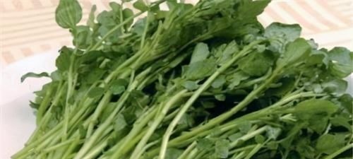 老太太|女性不想提早变成“老太太”,常吃3种食物,改善气血,滋补身体