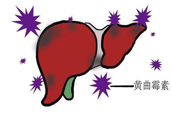 家里有几处地方,可能是黄曲霉素的温床,为了健康,尽快处理