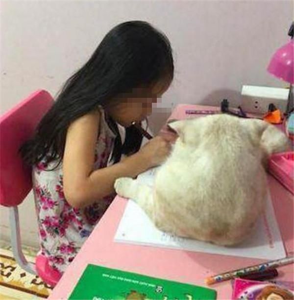 为什么说凌乱的家庭，很难养出有出息的孩子？父母值得反思