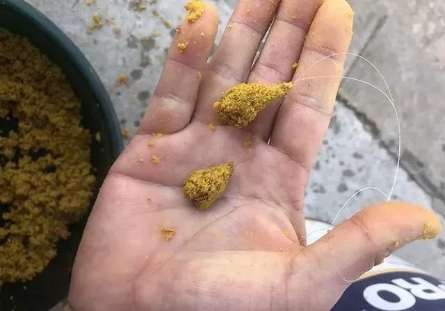 饵料搭配,看似无所谓,实则对渔获影响非常明显,一定要记牢!