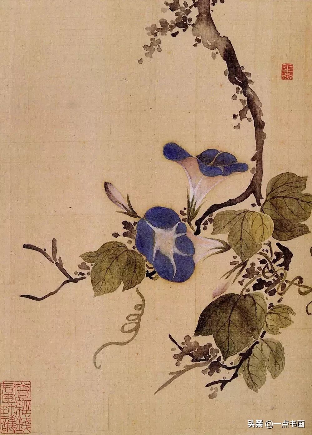 草虫&华岩的花鸟画，独辟蹊径，令人耳目一新