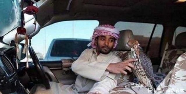 图片来自网络|最后一个价值一亿!国外土豪的顶级奢侈品,到底多有钱啊?