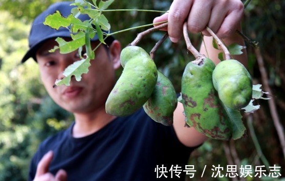 黄芪|央视列为“一级致癌物”,吃一口,赛喝马桶水3次