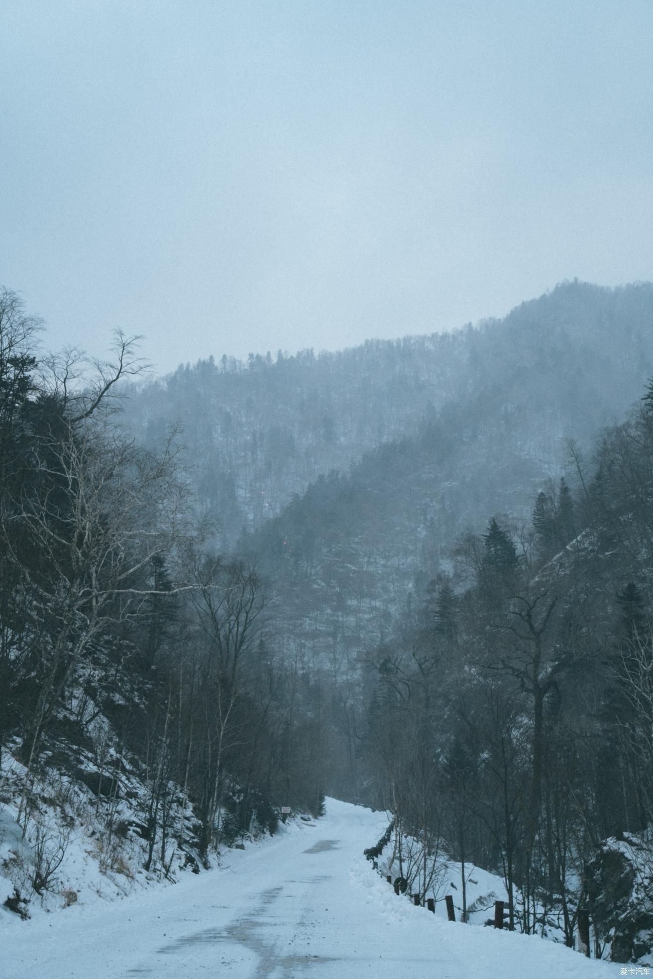 老年|在寂静雪原 遇见雪花真实的形状