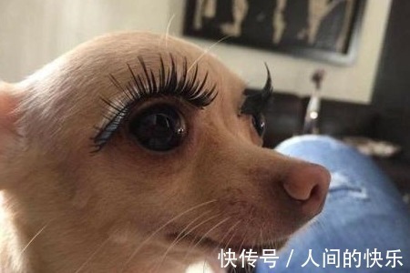 |10条超搞笑的段子,忍不住笑出声来(太好玩了)