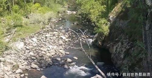 钓鱼|在小溪里钓鱼,发现有身影在游动,以为是大鱼,结果却不是