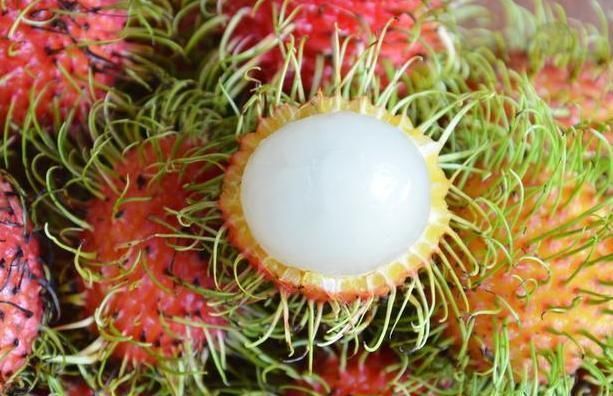 椰子汁|6月一到，不管有钱没钱，这几种水果记得多吃，顺应时节身体棒