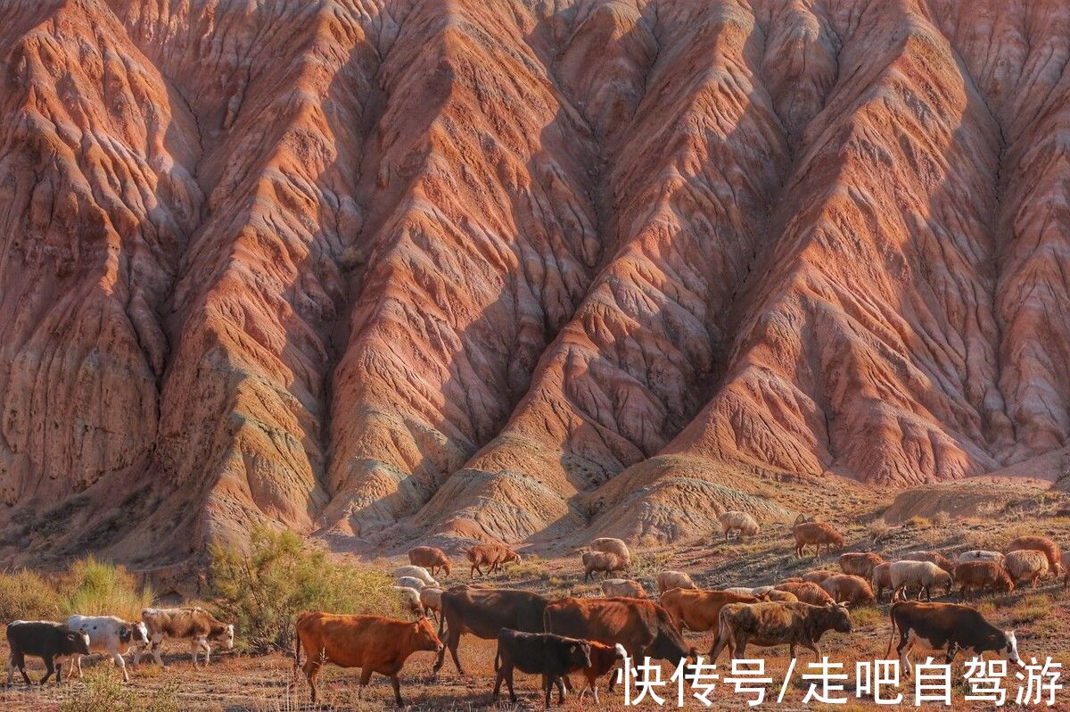 扎达土林|在好“色”这件事上，中国人是认真的