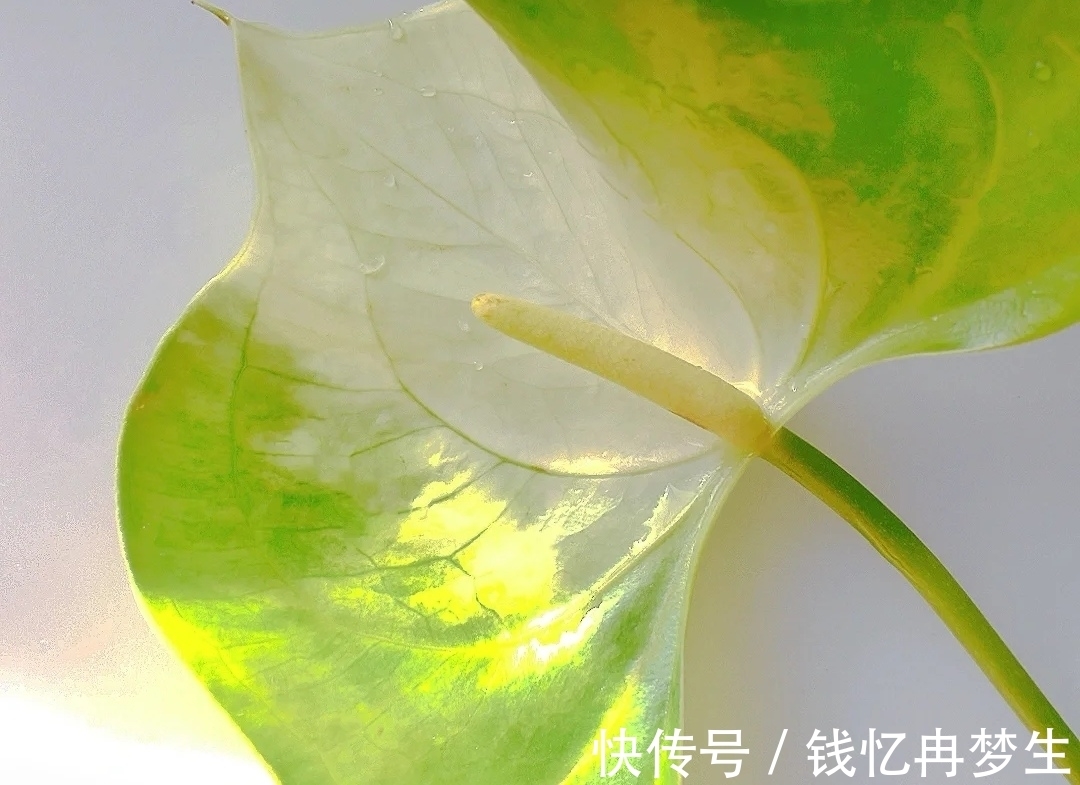 曾国藩&《道德经》有格局的人,守其雌,守其黑,守其辱,反而,有大作为