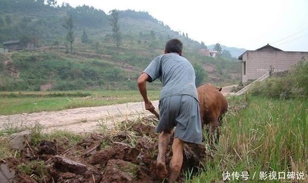 口口相传|俗语“好男有毛无好妻,好女有膘五不出”,老祖宗留下的忠告