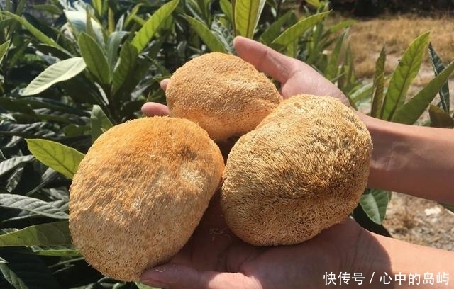 胃科医生提醒：胃不好，可以多补充1物，胃或慢慢恢复健康