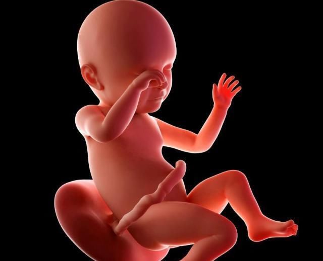 变化|怀孕1~40周，每周身体有何变化？送你一份“孕期清单表”！