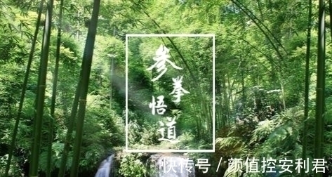 意气君@习练太极拳,要明白“意气君来骨肉臣”这句话的含义