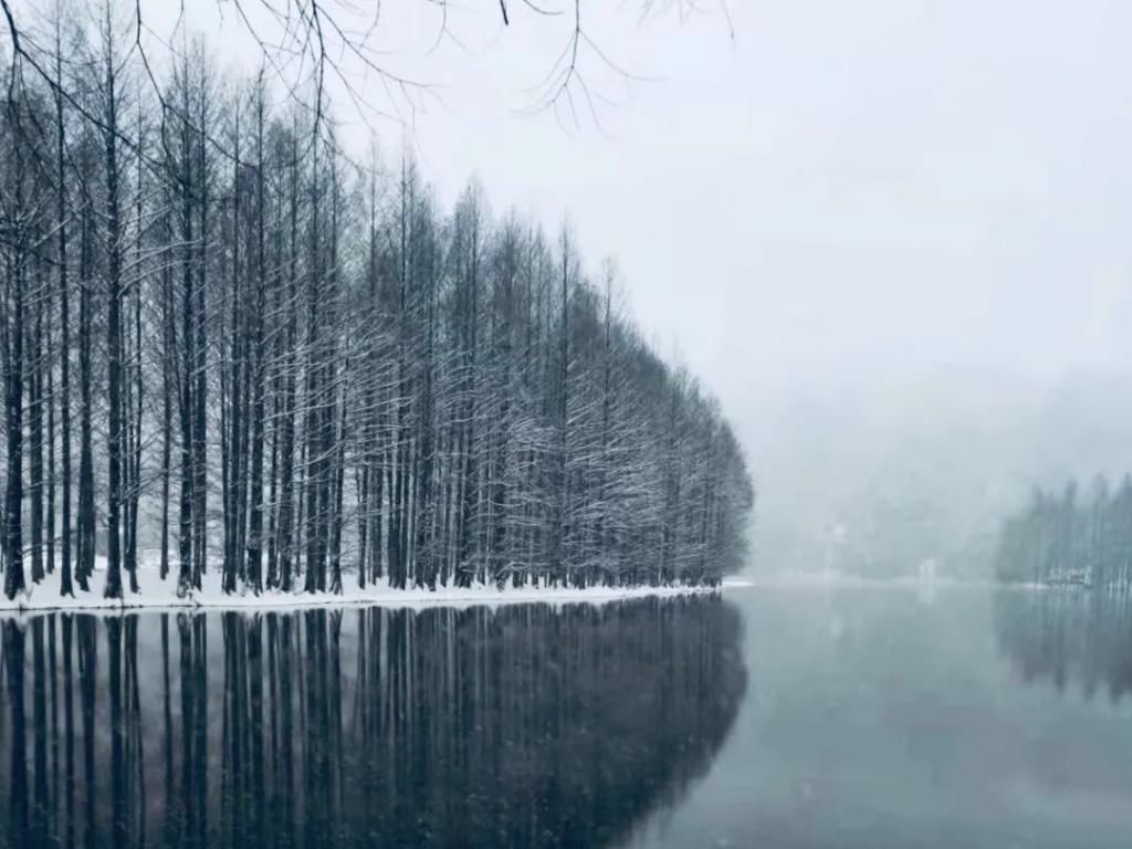 县区|初雪！周边县区雪景美图来袭！