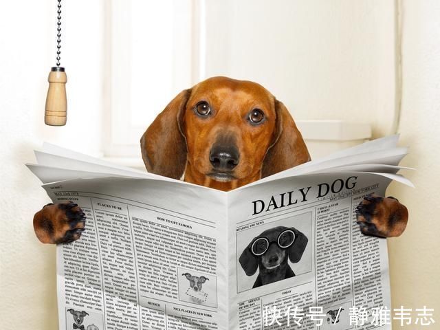 女性|洗澡时,女人若喜欢站着排尿,可能会招来4个影响