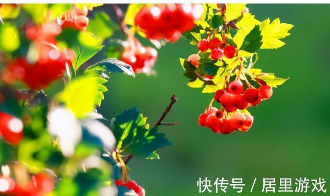 改善|食用这2种食物,可以改善湿气的困扰,不妨试一试,轻松祛湿