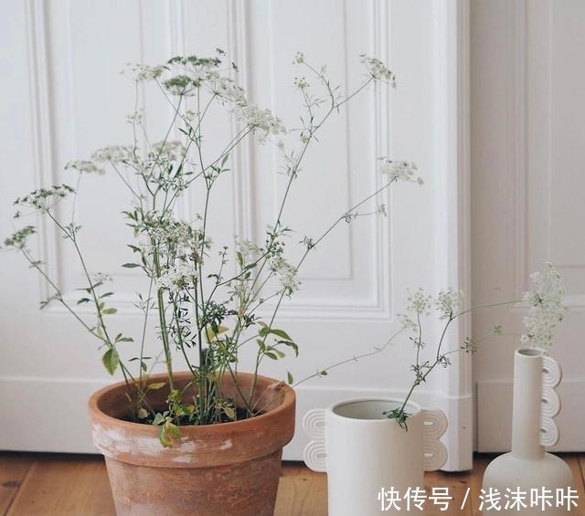 修饰|看完她家后,我彻底被治愈了!全屋轻奢风十足,精致又好看,超暖!