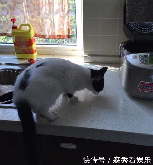 黄菡|参观黄菡老师现实中的家,家具全是复古款式,连碗碟也要用青花瓷