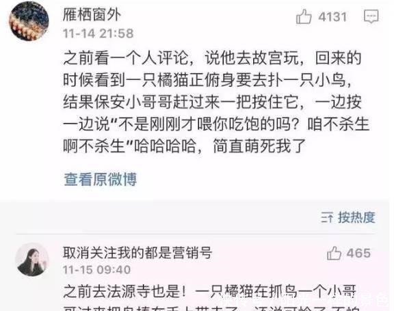 据我们深入调查,故宫的猫还真没有一个吃白食的