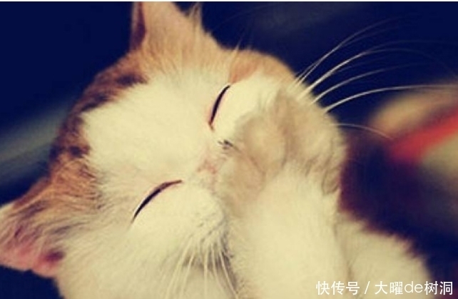 记忆力下降怎么办？医生：延缓大脑衰老的八种办法，你值得拥有