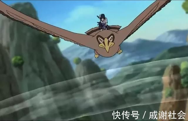 卡卡西|火影忍者:这3只通灵兽是最弱的,凯的忍龟、卡卡西的狗全上榜