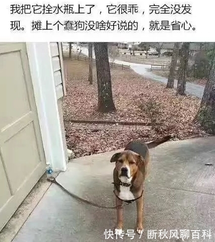 |笑话六则:最近受刺激想减肥,决定晚上不吃宵夜了。就在刚刚…