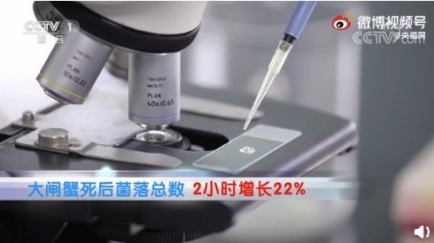死蟹|“死蟹到底能不能吃”上热搜！网友吵翻