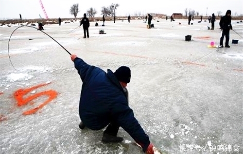 冬天钓鱼,饵料种类其实并不多,这几种就足够了