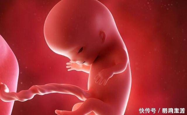 眼睛|这些东西在怀孕期间经常吃,这会使胎儿的眼睛变漂亮孕妇可以试试