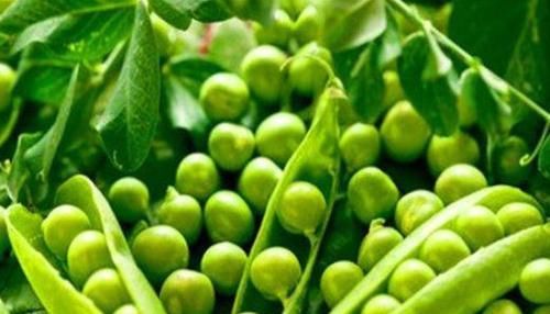 皺紋|女性到了中年常吃3種食物，美白護膚，去除皺紋，好吃又不貴