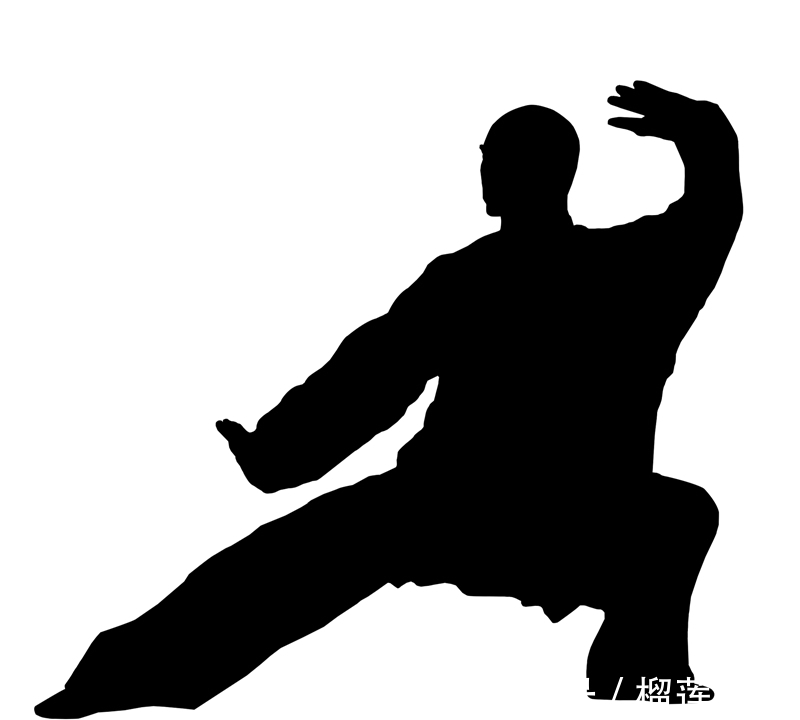 三角步|我练的是什么八卦掌