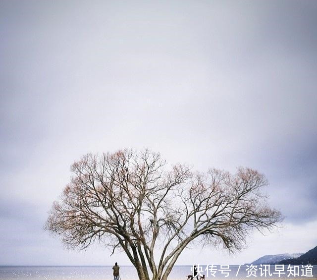 收藏|为人处世的智慧语录,句句受用,值得收藏一生!